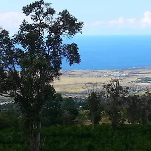 Mango Sunset Bnb At Lyman Organic Kona Coffee Farms Bed & Breakfast