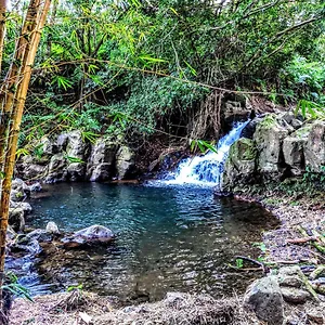 Hamakua Guest house